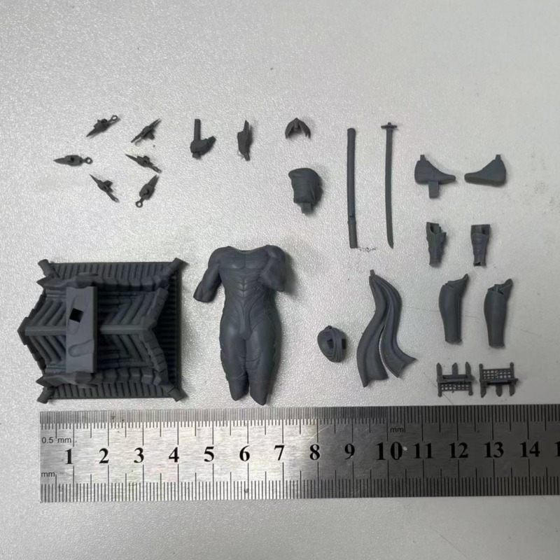 1/24  Miniature Black Robe Nin - đánh giá và giá Model Kit Ninja