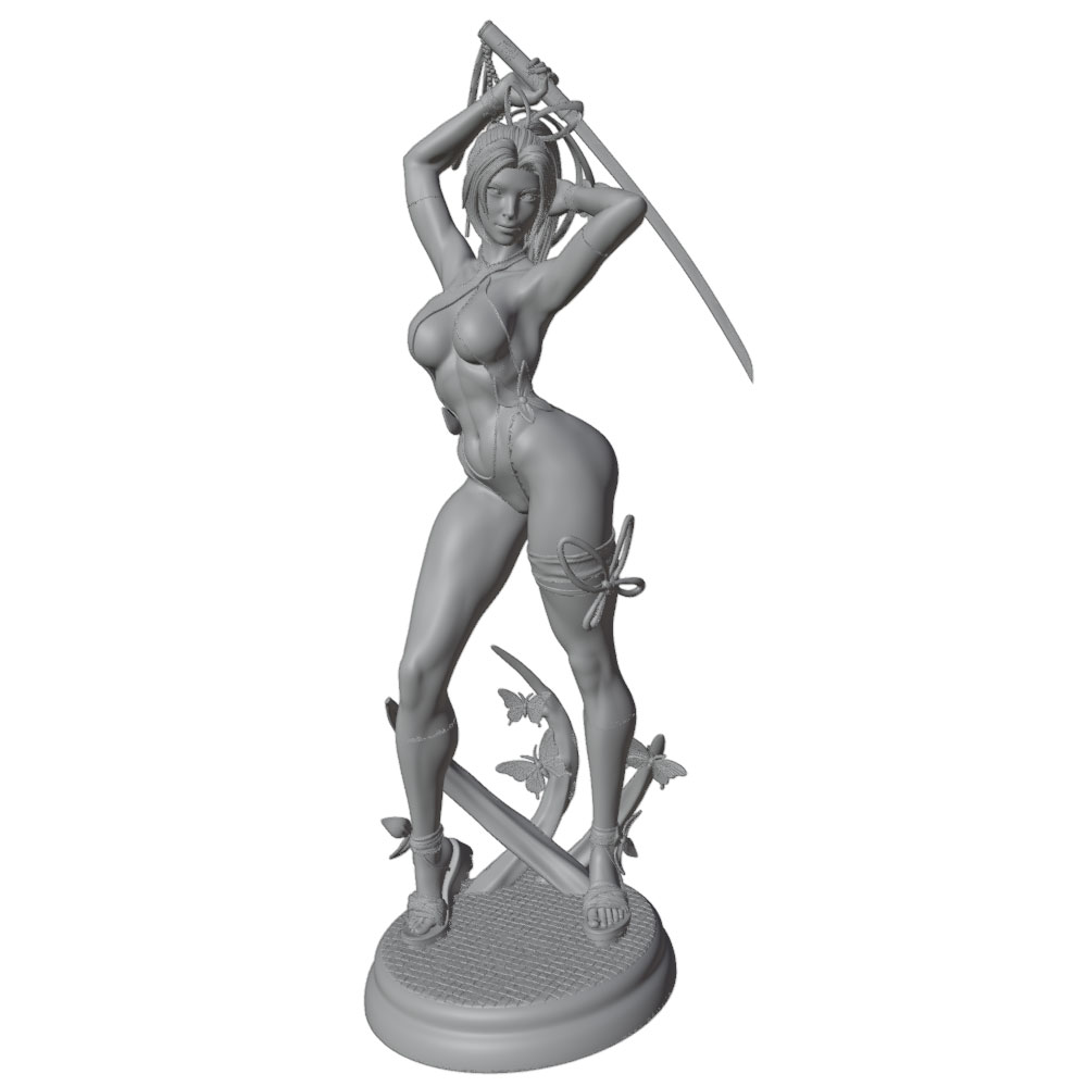 1/24 Female 	Warrior Resin Mod - đánh giá và giá Model Kit Hg