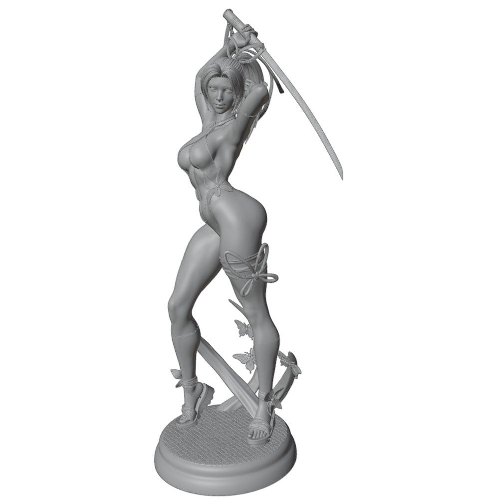 1/24 Female 	Warrior Resin Mod - đánh giá và giá Model Kit Hg
